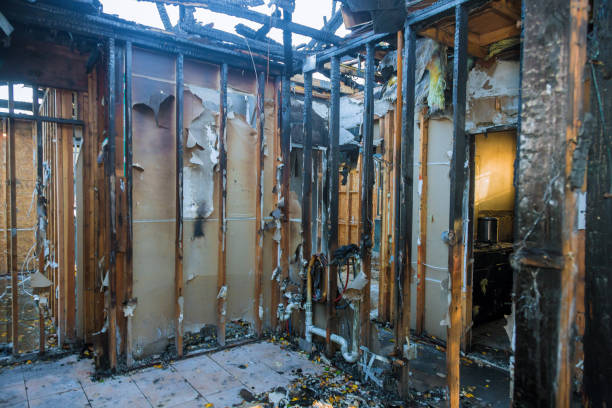 Professional Fire Damage Restoration technician working in University, FL